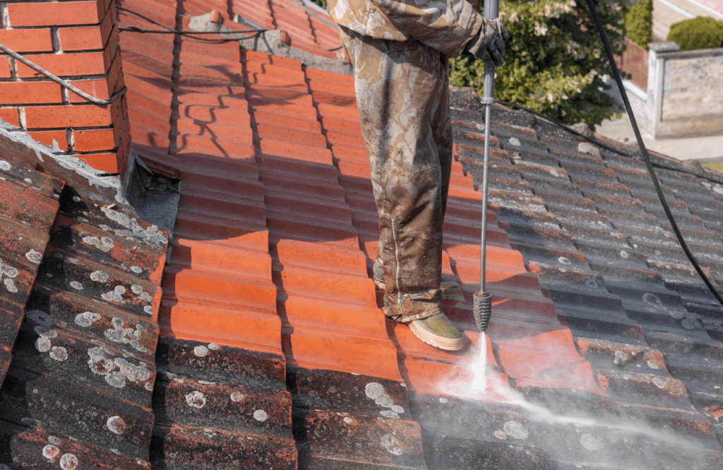 roof cleaning